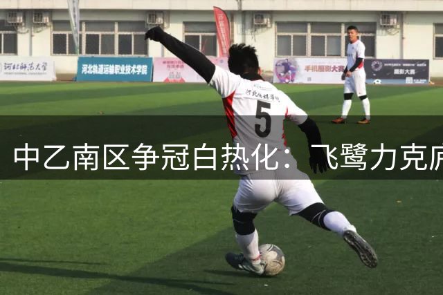 中乙南区争冠白热化：飞鹭力克庐山 吴越险胜青年星